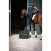 Opstigningsskammel 3 trin sort 70cm Excellent Horse