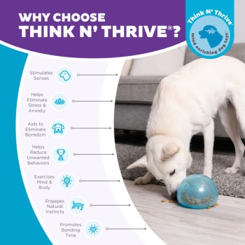 Godbidslegetøj Orbee-Tuff Snoop L Blå  Outward Hound