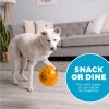 Outward Hound Orbee-Tuff Snoop L Orange Outward Hound Orbee-Tuff Snoop L Orange
