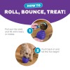 Outward Hound Orbee-Tuff Snoop M Lilla Outward Hound Orbee-Tuff Snoop M Lilla