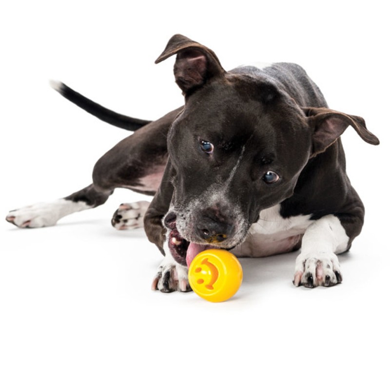 Outward Hound Orbee-Tuff Nooks Gul Outward Hound Orbee-Tuff Nooks Gul
