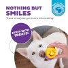 Outward Hound Orbee-Tuff Nooks Gul Outward Hound Orbee-Tuff Nooks Gul
