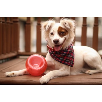 Godbidslegetøj Orbee-Tuff Snoop S Rød (Lil' Snoop) Outward Hound Godbidslegetøj Orbee-Tuff Snoop S Rød (Lil' Snoop) Outward Hound