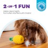 Udadgående hund Dental Pineapple Udadgående hund Dental Pineapple