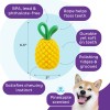 Udadgående hund Dental Pineapple Udadgående hund Dental Pineapple