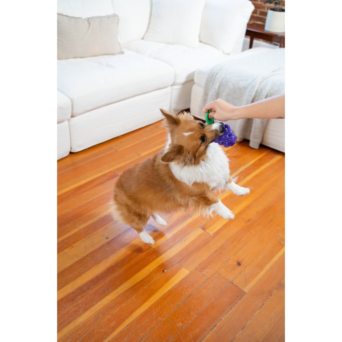 Godbidslegetøj Dental Druer Outward Hound