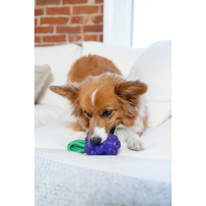 Godbidslegetøj Dental Druer Outward Hound