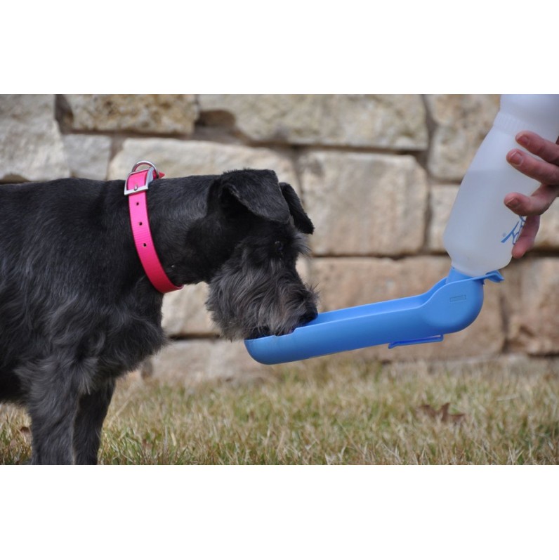 Rejseflaske 500 ml Pawise