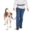 Pawise Håndfrit hundejoggersæt L8cm Pawise Håndfrit hundejoggersæt L8cm