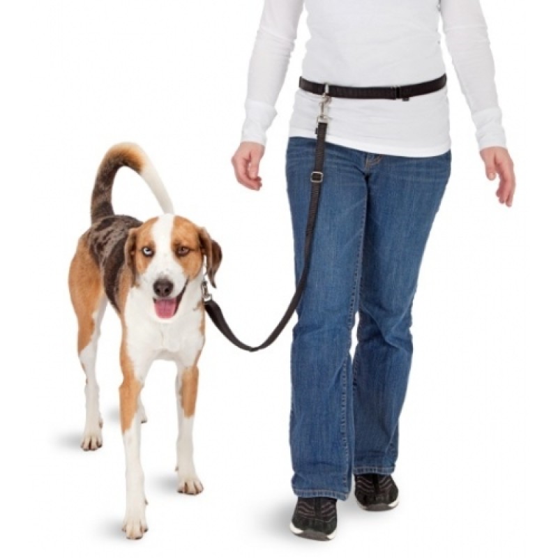 Pawise Håndfrit hundejoggersæt L8cm Pawise Håndfrit hundejoggersæt L8cm