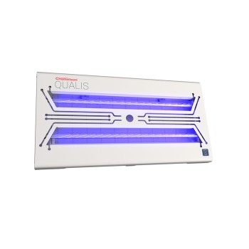 Fluelampe Qualis LED  L14cm PestWest Chameleon