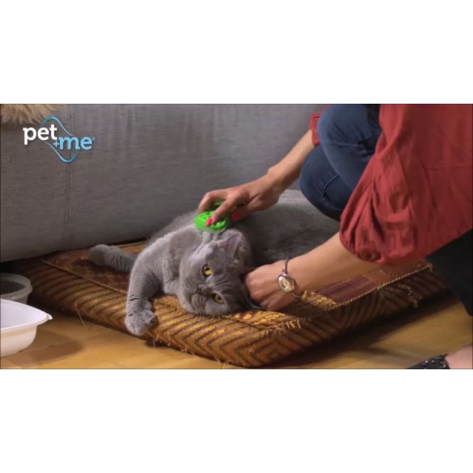 Kattehårbørste Langt hår Grøn Pet Me