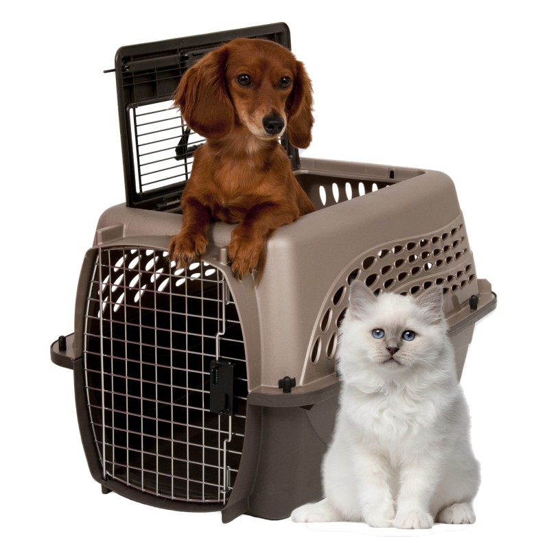 Petmate 2-dørs bur brun S Petmate 2-dørs bur brun S