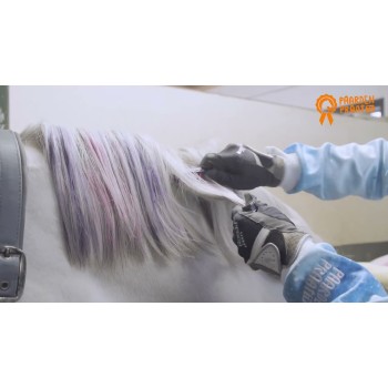 Regnbuens farver Farvekridt til hestens man Regnbuens farver Farvekridt til hestens man