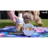 CoolPets solcreme CoolPets solcreme