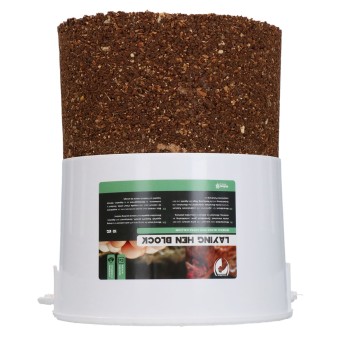 Æglæggende høneblok 10 kg Excellent Æglæggende høneblok 10 kg Excellent