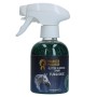 Glamour Spray Turkis Paardenpraat TV Glitter