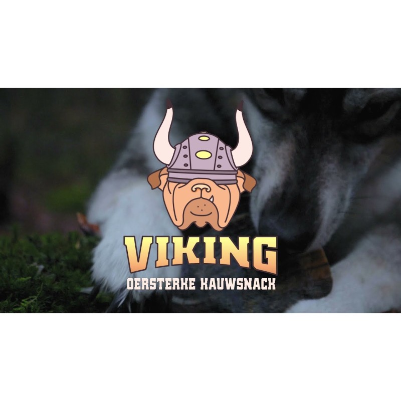 Viking Horn Twist L Viking Horn Twist L
