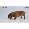 Petsport Tiny Tots Gorilla Spiky Bone Assorteret Petsport Tiny Tots Gorilla Spiky Bone Assorteret