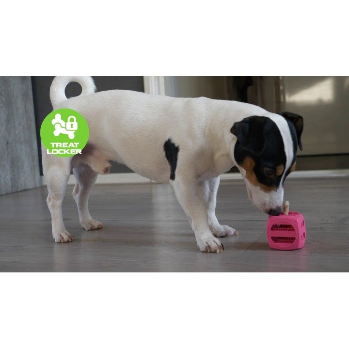 Pollux Orange  hundelegetøj Comets  Helix