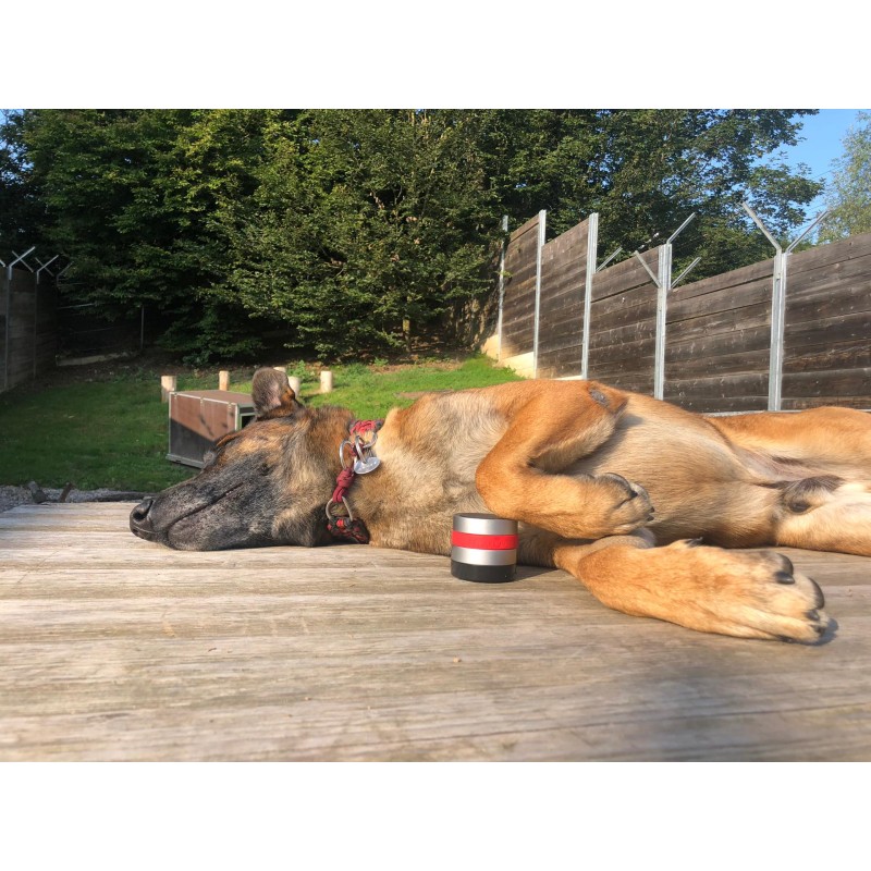 RelaxoPet PRO Hund RelaxoPet PRO Hund