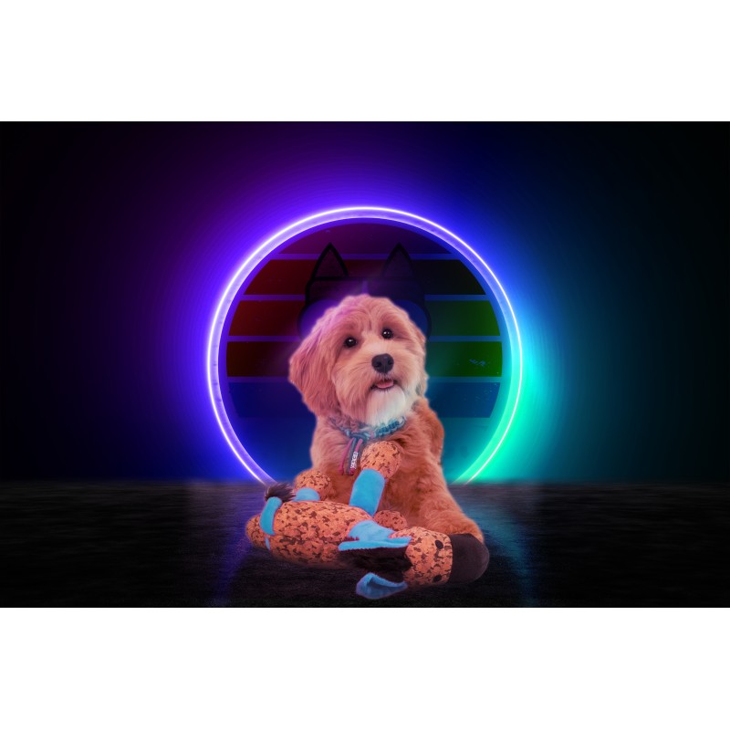 Retrodog Æsel Blå S Retrodog Æsel Blå S