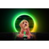 Retrodog Æsel Grøn S Retrodog Æsel Grøn S