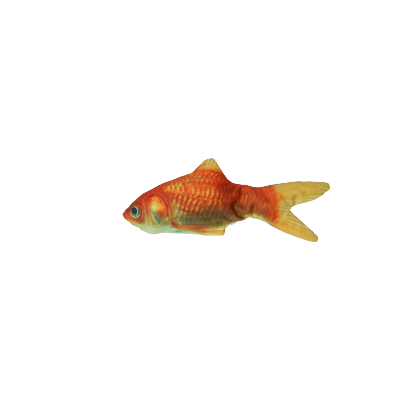 Robocat Fisk Guldfisk Robocat Fisk Guldfisk