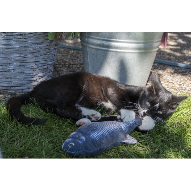 Robocat Fisk Guldfisk bevægelig bamse til kat Robocat Fisk Guldfisk bevægelig bamse til kat
