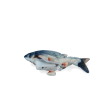 Robocat Fisk Karpe Robocat Fisk Karpe
