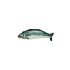 Robocat Fisk Laks Robocat Fisk Laks