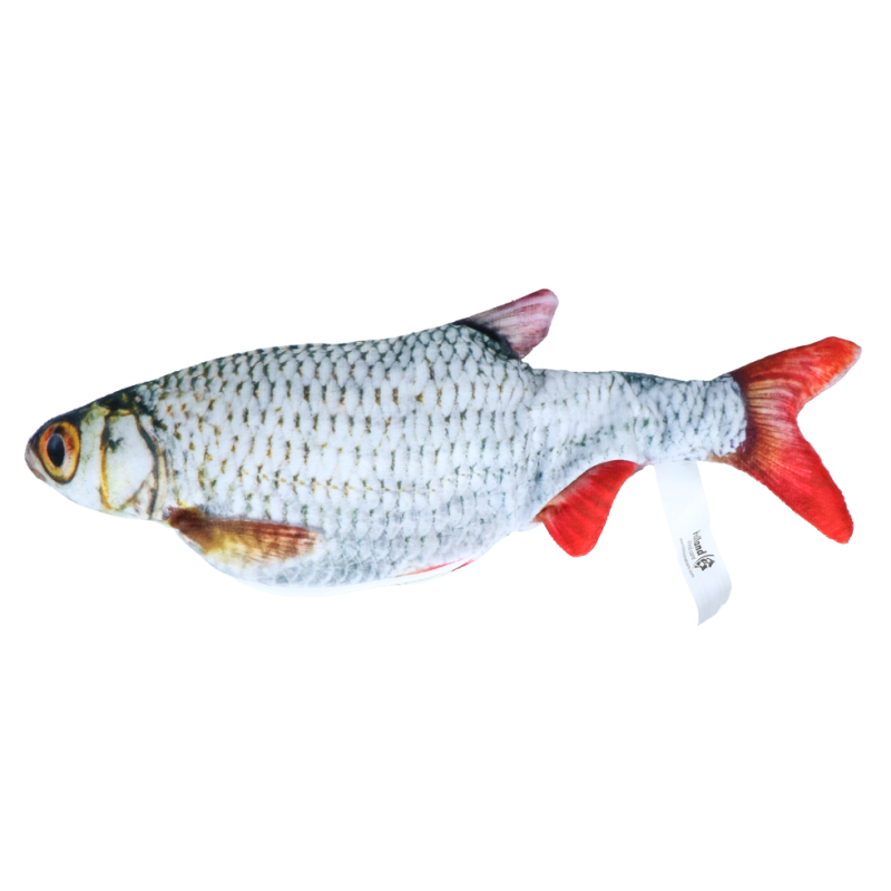 Robocat Fisk Kakerlak Robocat Fisk Kakerlak