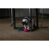 Robocat Mus Pink bevægelig bamse til kat