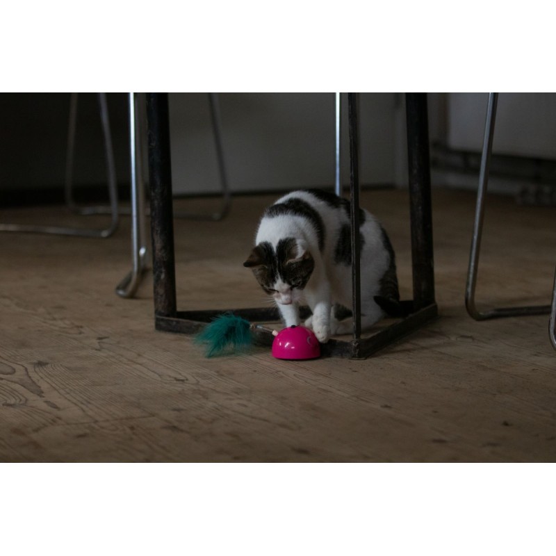 Robocat Mus Pink bevægelig bamse til kat Robocat Mus Pink bevægelig bamse til kat