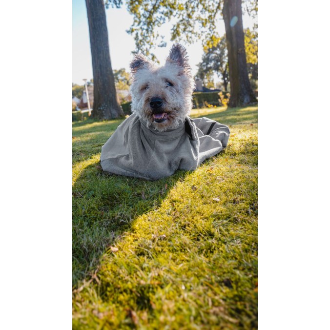 Tørrepose til hunde S Royal Dry