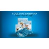 CoolPets Kølebandana M CoolPets Kølebandana M