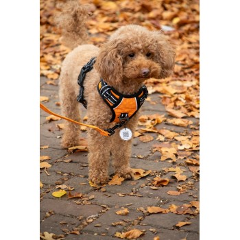 Ingen træk Sele Grøn XXS Spotted! Pro Ingen træk Sele Grøn XXS Spotted! Pro