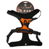 Spotted! Pro Ingen træk Harnas Orange XL Spotted! Pro Ingen træk Harnas Orange XL