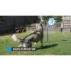 CoolPets Isblomst CoolPets Isblomst