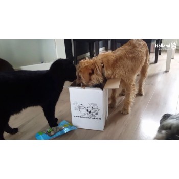 Fisk og skaldyr laks rullepinde Kornfri hundegodbidder Braaf