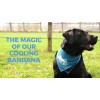 CoolPets Kølebandana M CoolPets Kølebandana M