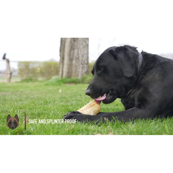 Tyggepind Kaffetræ M Ruffwood