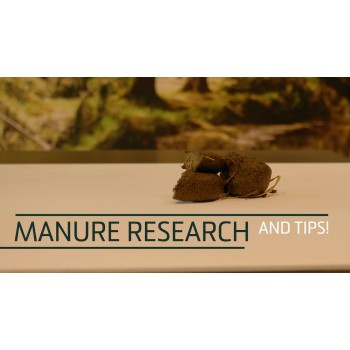 Psyllium Plus 1,2 kg Excellent Horse Psyllium Plus 1,2 kg Excellent Horse