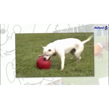 Push-n-Play Blå L (25 cm) Jolly Push-n-Play Blå L (25 cm) Jolly