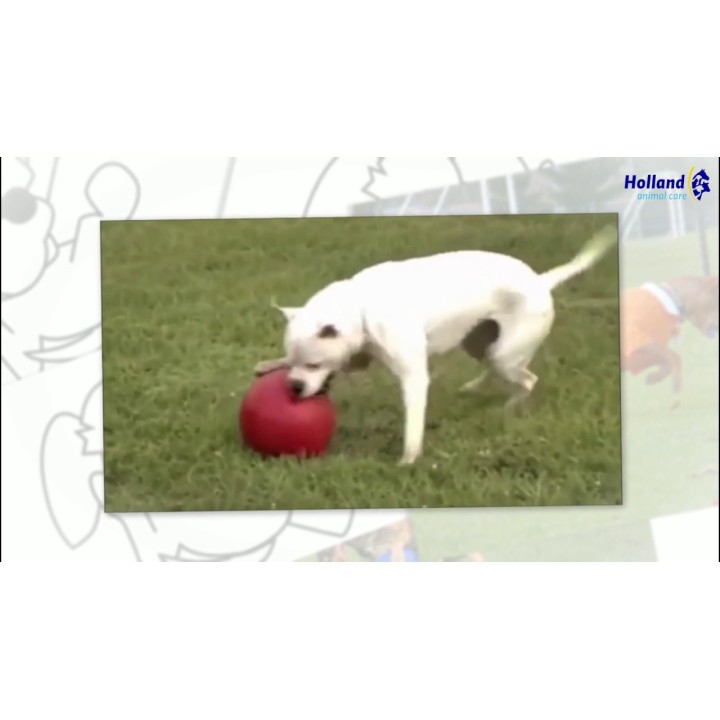 Push-n-Play Rød XL (35 cm) Jolly Push-n-Play Rød XL (35 cm) Jolly