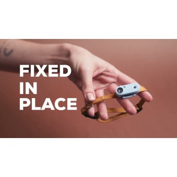 Mini Hund Genopladelig Sort Tickless Mini Hund Genopladelig Sort Tickless