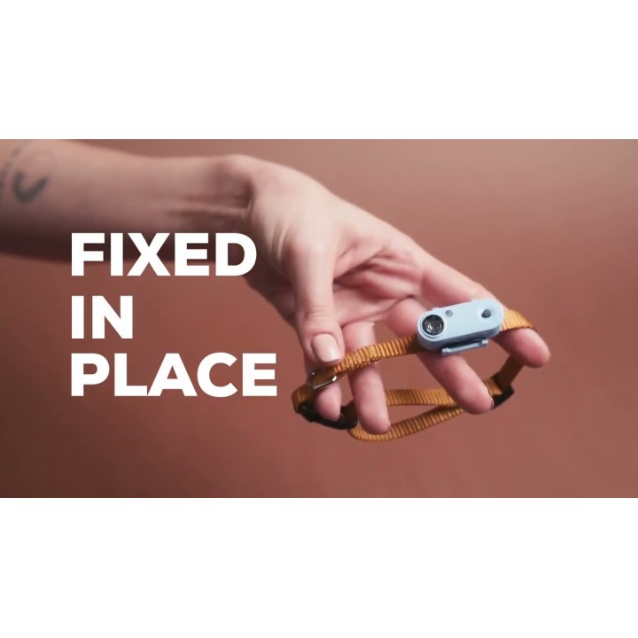 Minimum 6 måneders beskyttelse til kæledyr, sort Tickless