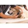 Trimmer Wahl Prima