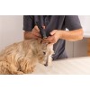 Trimmer Wahl Prima
