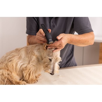 Trimmer Wahl Prima Trimmer Wahl Prima